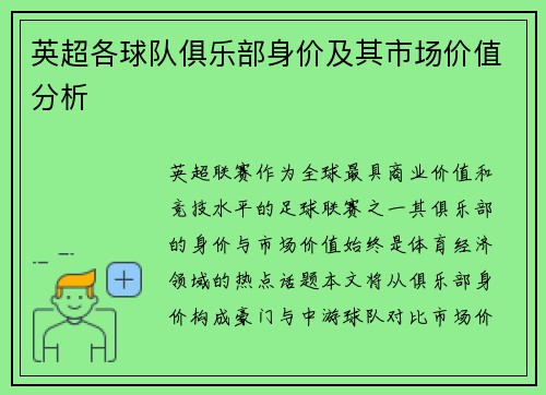 英超各球队俱乐部身价及其市场价值分析