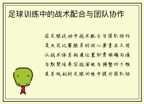 足球训练中的战术配合与团队协作